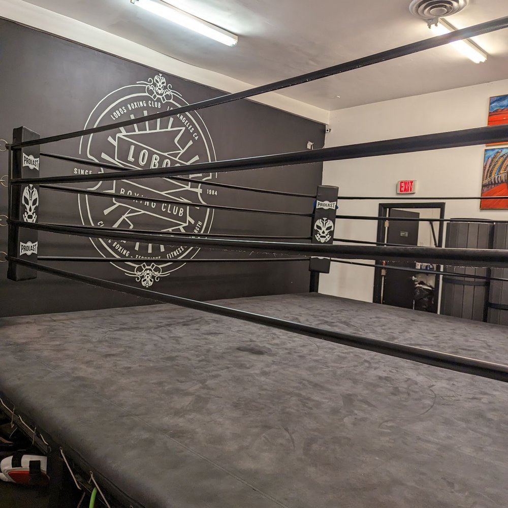 Top 10 Elite Boxing Gyms